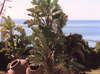 Grecian Sands Hotel 